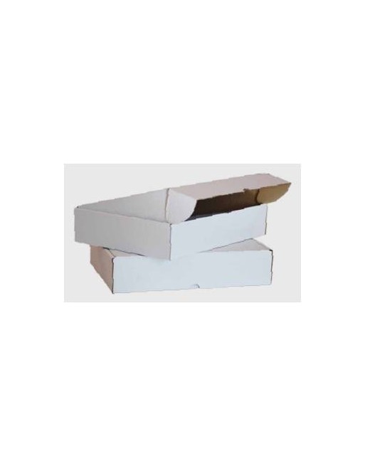 Caja tapa abatible 20x15x10cm mm blanca