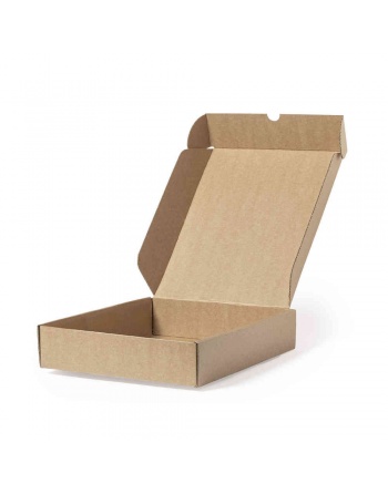 Caja kraft 21x25x5cm tapa abatible